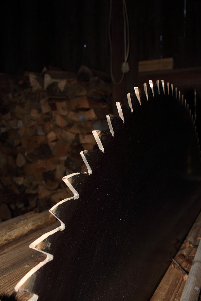 sierra circular hojas